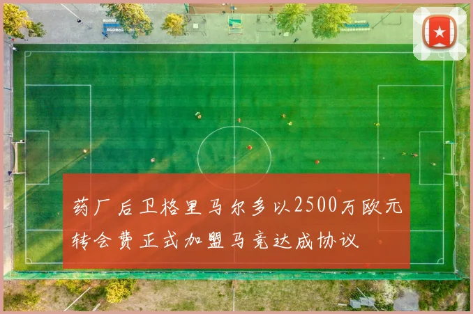 药厂后卫格里马尔多以2500万欧元转会费正式加盟马竞达成协议