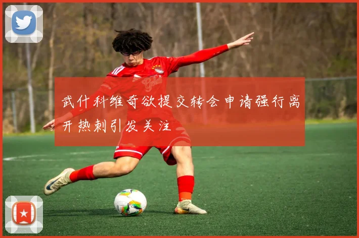 武什科维奇欲提交转会申请强行离开热刺引发关注